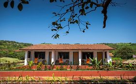 Dark Forest Retreat Hotel Amboli (maharashtra) India